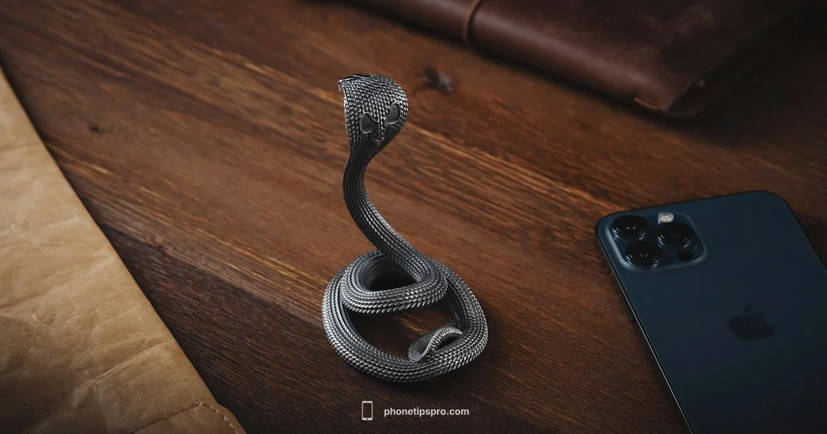 Metal Back iPhone - Phone Tips Pro