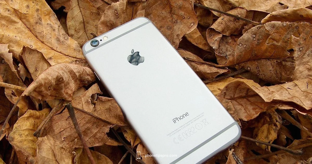 Annual iPhone Cadence Annual iPhone Cadence - Phone Tips Pro