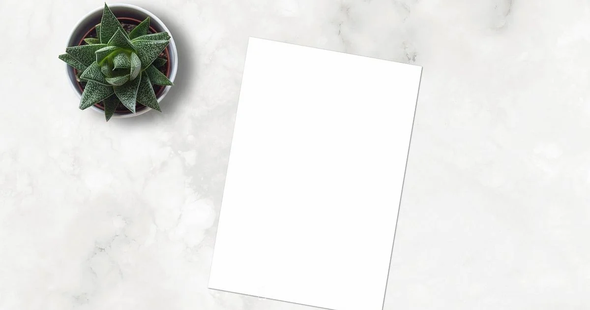 Pink iPhone 13 Guide - Phone Tips Pro