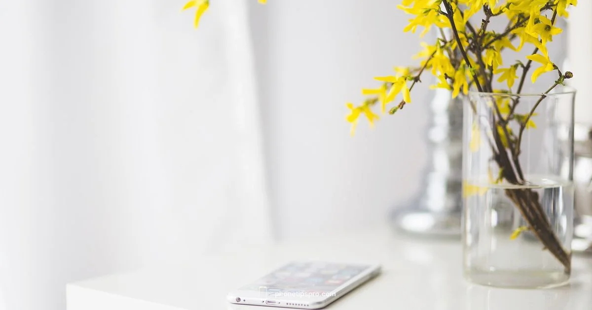 Background Removal on iPhone Background Removal on iPhone - Phone Tips Pro