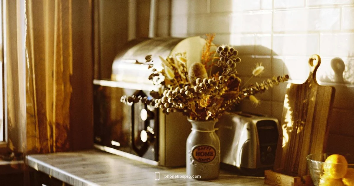 Safety First Safety First - Phone Tips Pro