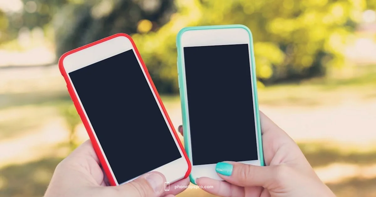 Seamless iPhone Migration Seamless iPhone Migration - Phone Tips Pro