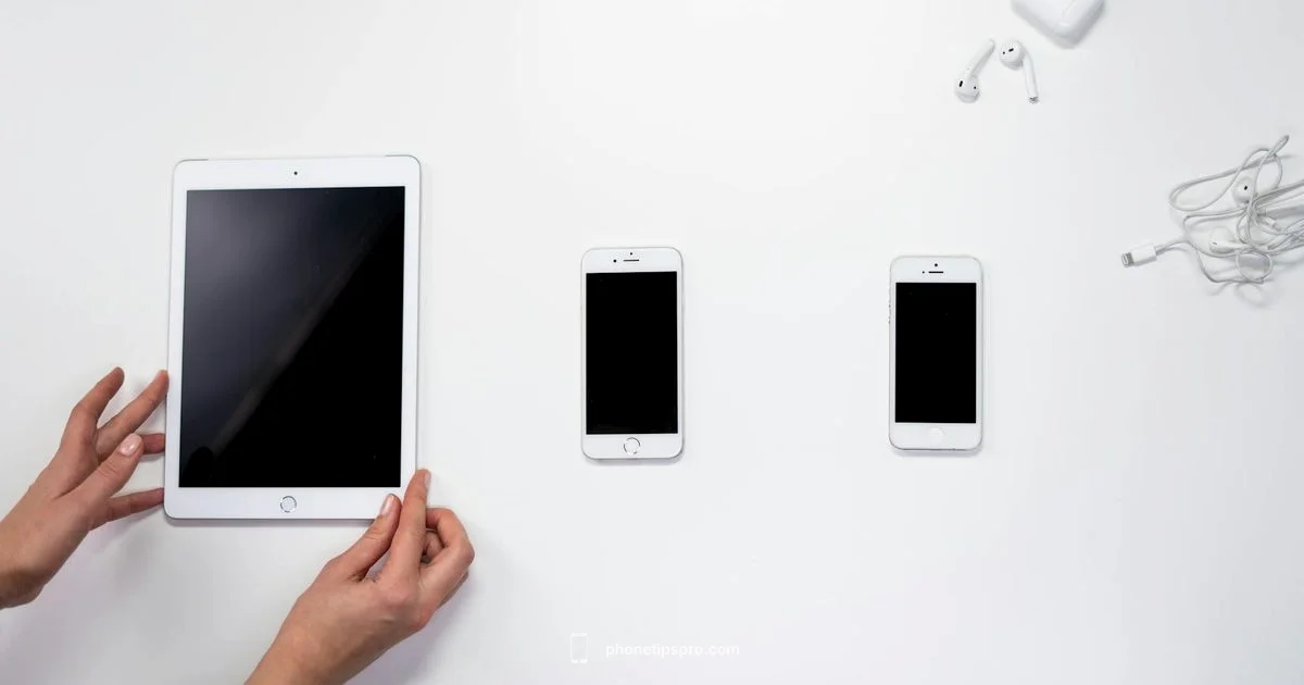 iPhone 12 Size iPhone 12 Size - Phone Tips Pro