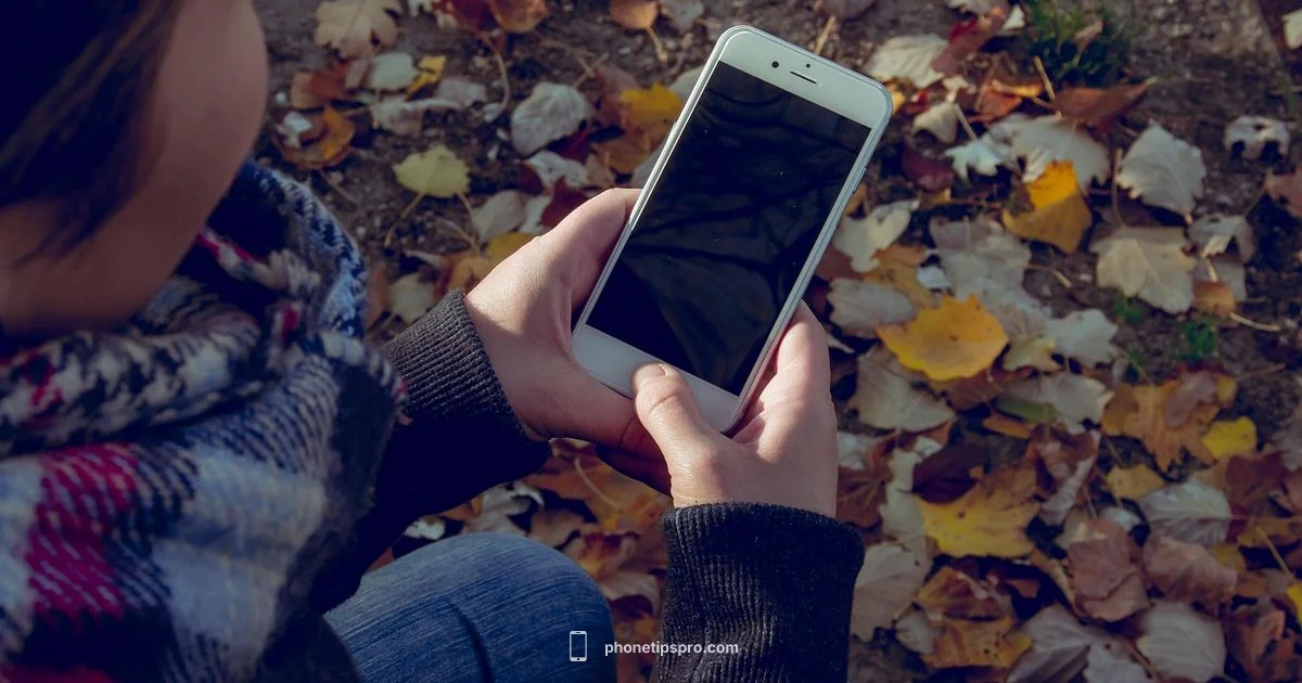 Most Common iPhone 2026 - Phone Tips Pro