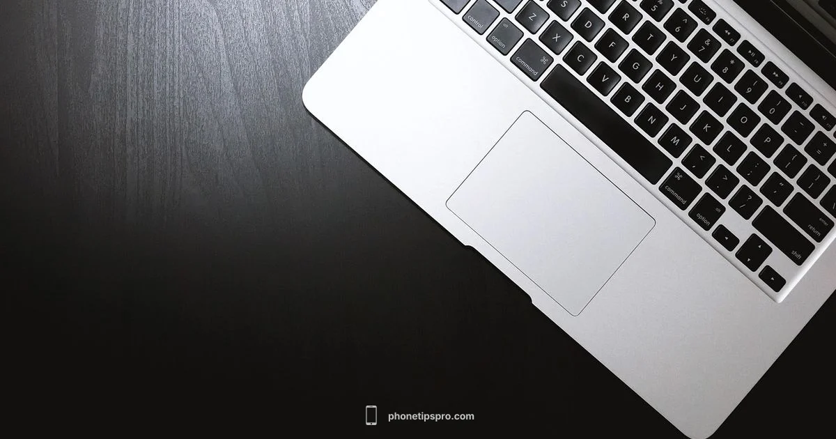 Identify iPhone Date - Phone Tips Pro