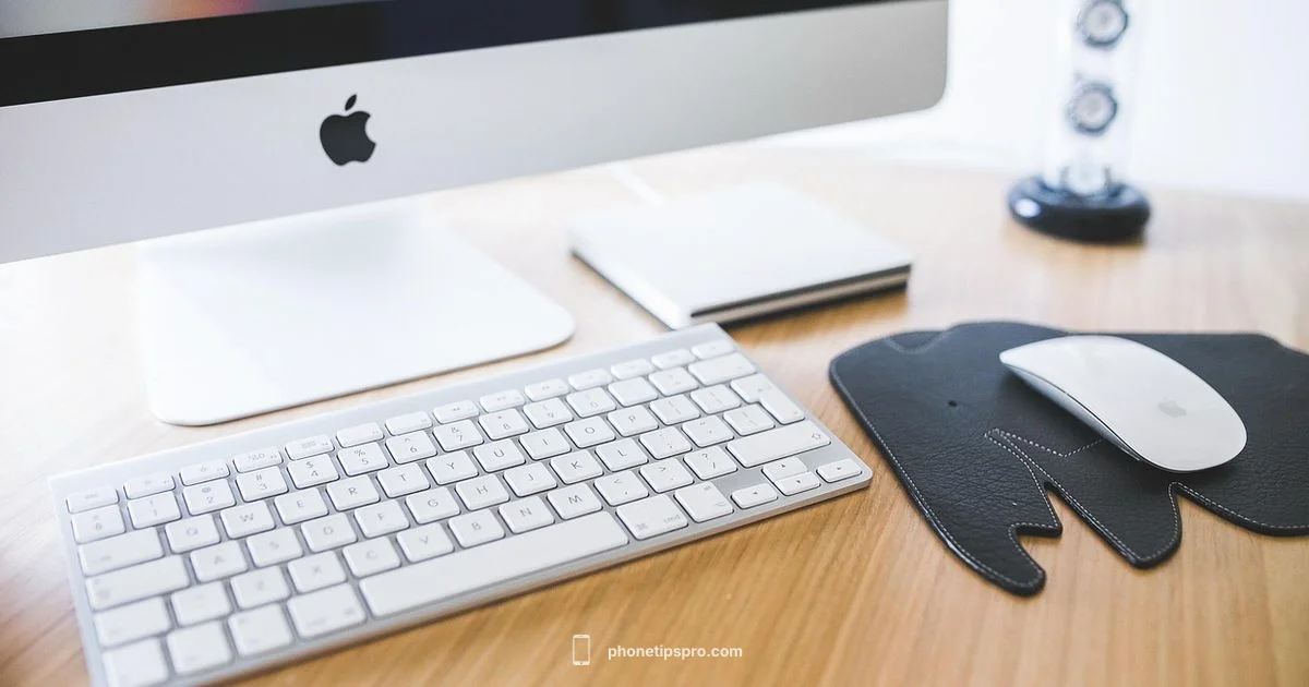 iPhone 6s Guide - Phone Tips Pro