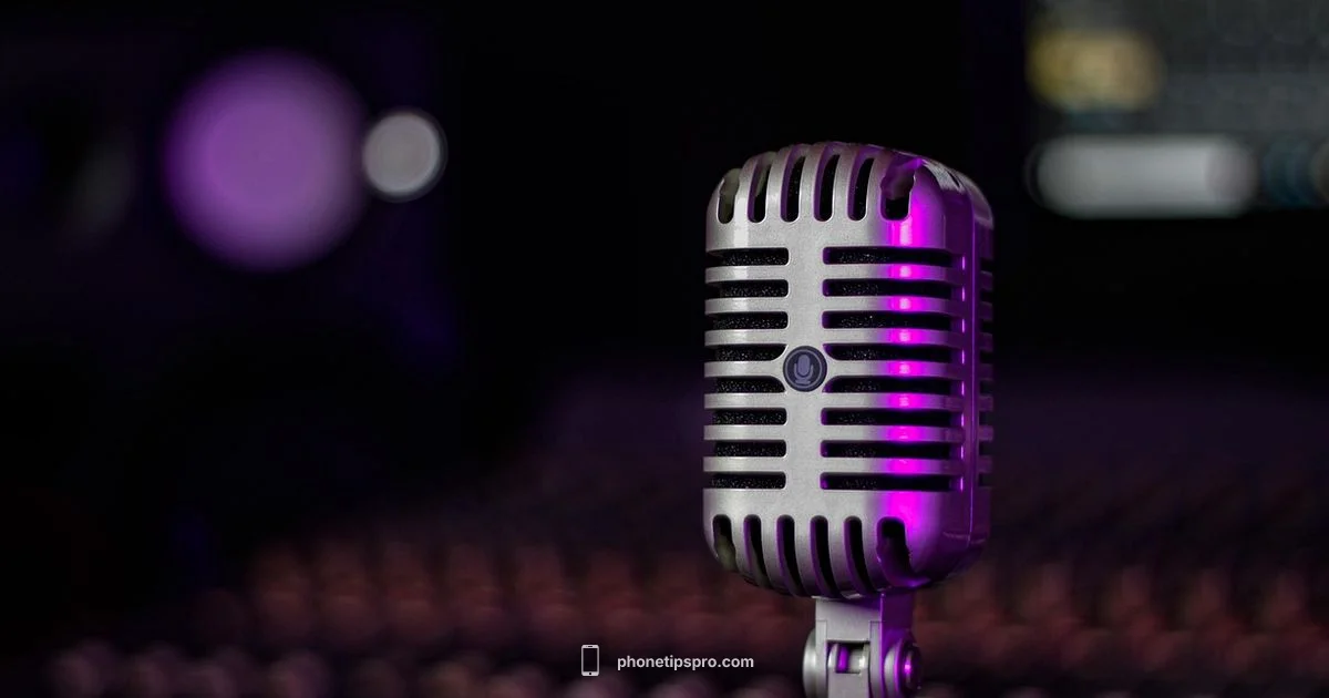 Mic Cleaning Guide Mic Cleaning Guide - Phone Tips Pro