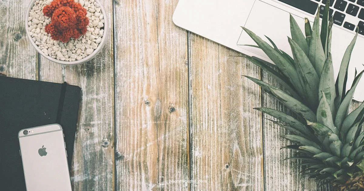 iPhone 12 Look iPhone 12 Look - Phone Tips Pro