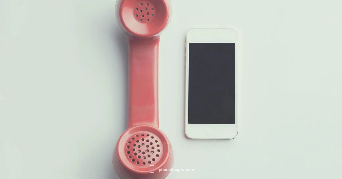 iPhone 13 vs 14 - Phone Tips Pro