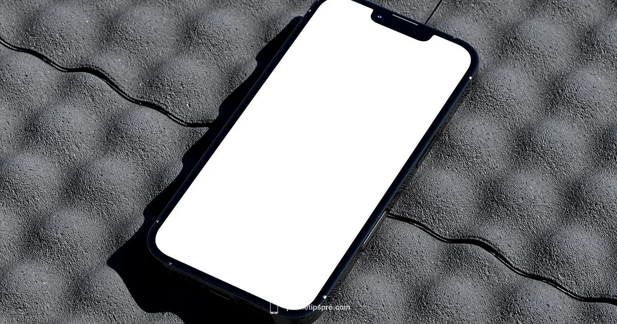 iPhone 16 Review iPhone 16 Review - Phone Tips Pro