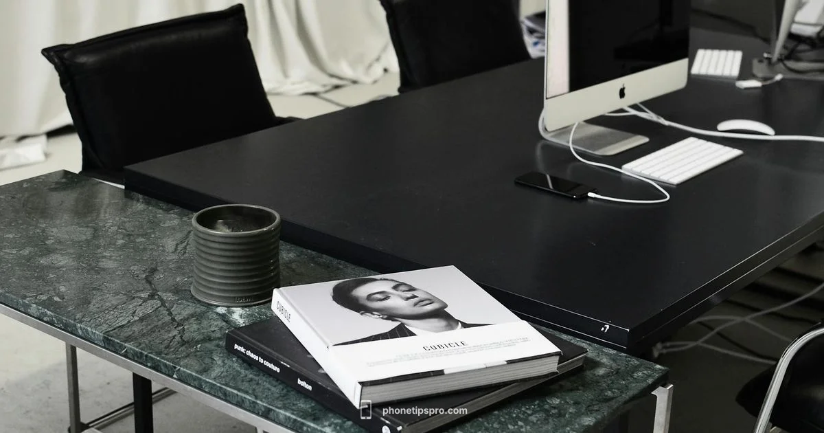 Precio y Opciones - Phone Tips Pro