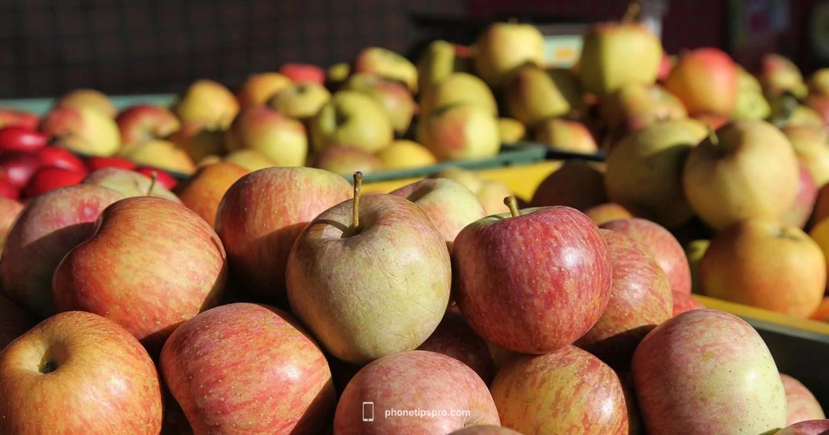 Best iPhone Deals Best iPhone Deals - Phone Tips Pro