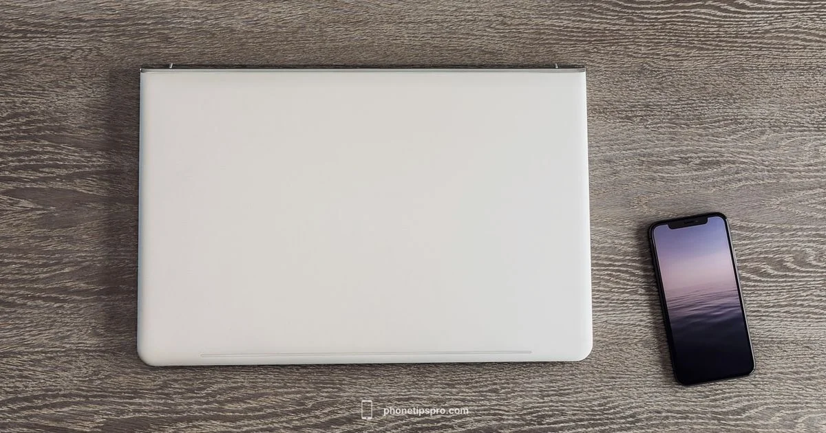 2026 Status - Phone Tips Pro