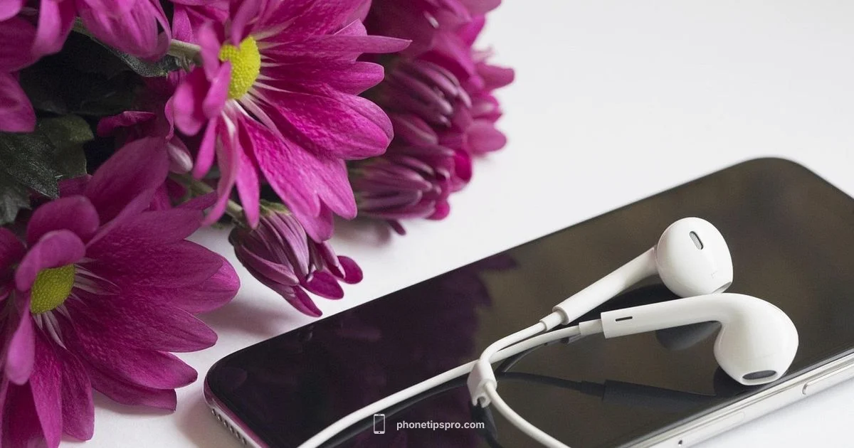 iPhone 14 in Review - Phone Tips Pro