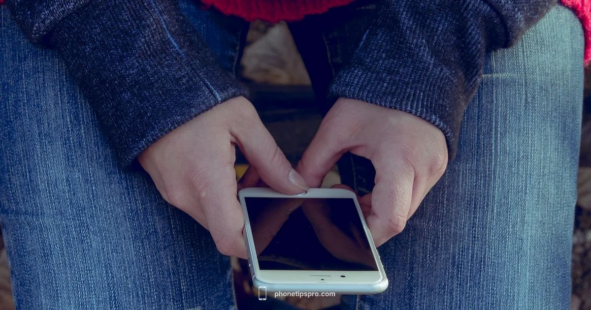 iPhone Heat Guide - Phone Tips Pro