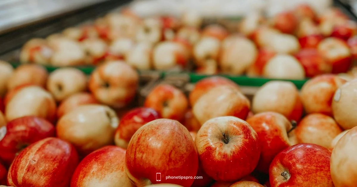 Refurbished iPhone 11 - Phone Tips Pro