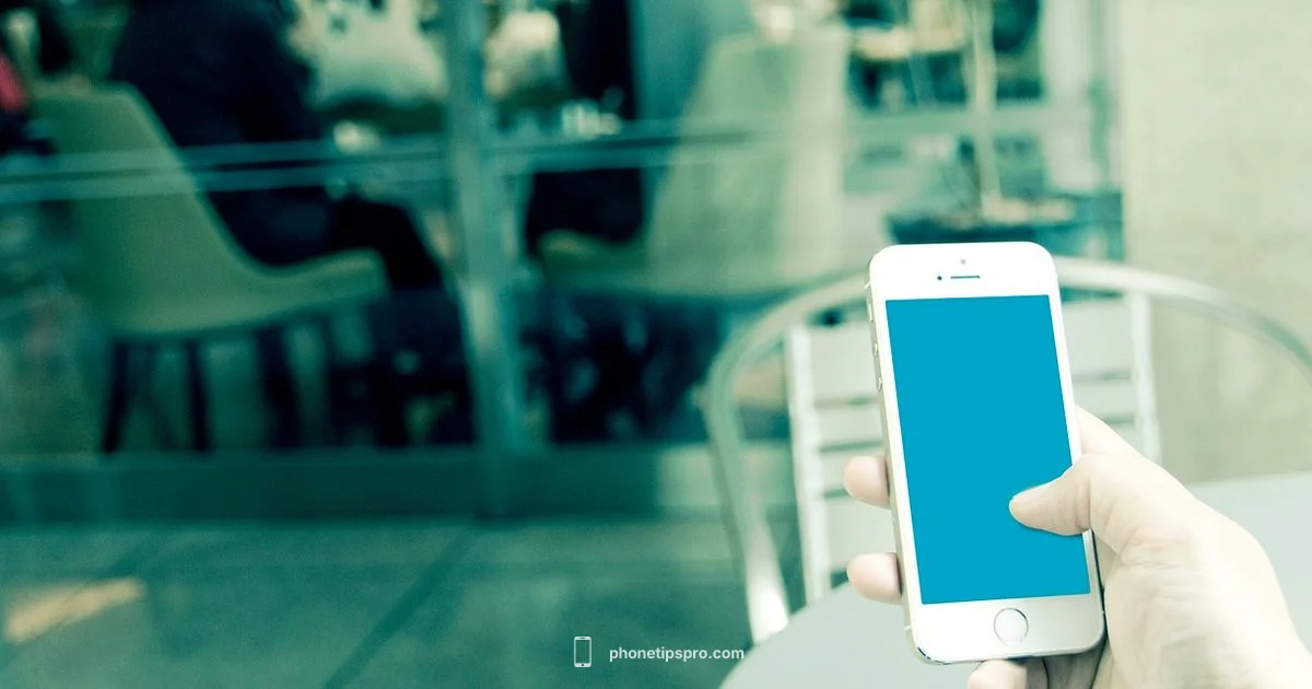 iPhone OS Defined - Phone Tips Pro