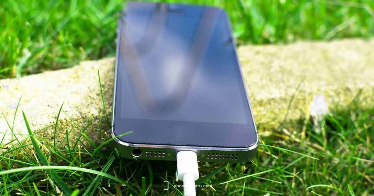 Is My iPhone Too Hot? - Phone Tips Pro