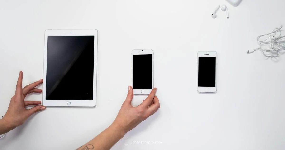 MagSafe on iPhone 13 - Phone Tips Pro