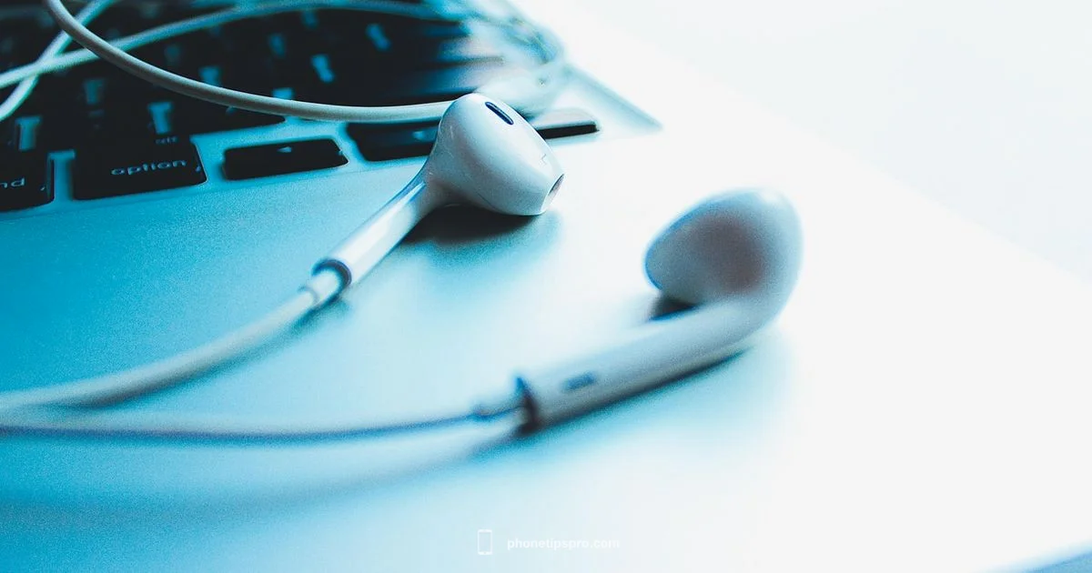 Wired Headphones for iPhone 16 - Phone Tips Pro