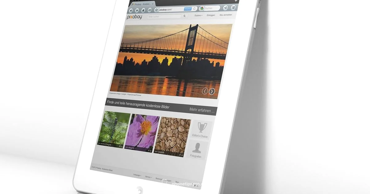 Image Search on iPhone Image Search on iPhone - Phone Tips Pro