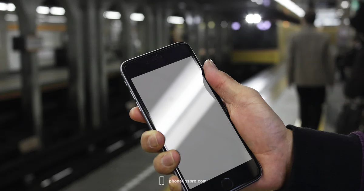 iPhone 16 Plus Colors iPhone 16 Plus Colors - Phone Tips Pro