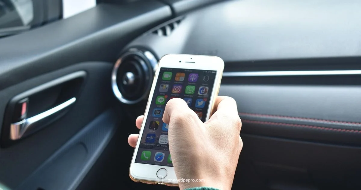 In-Store Availability - Phone Tips Pro