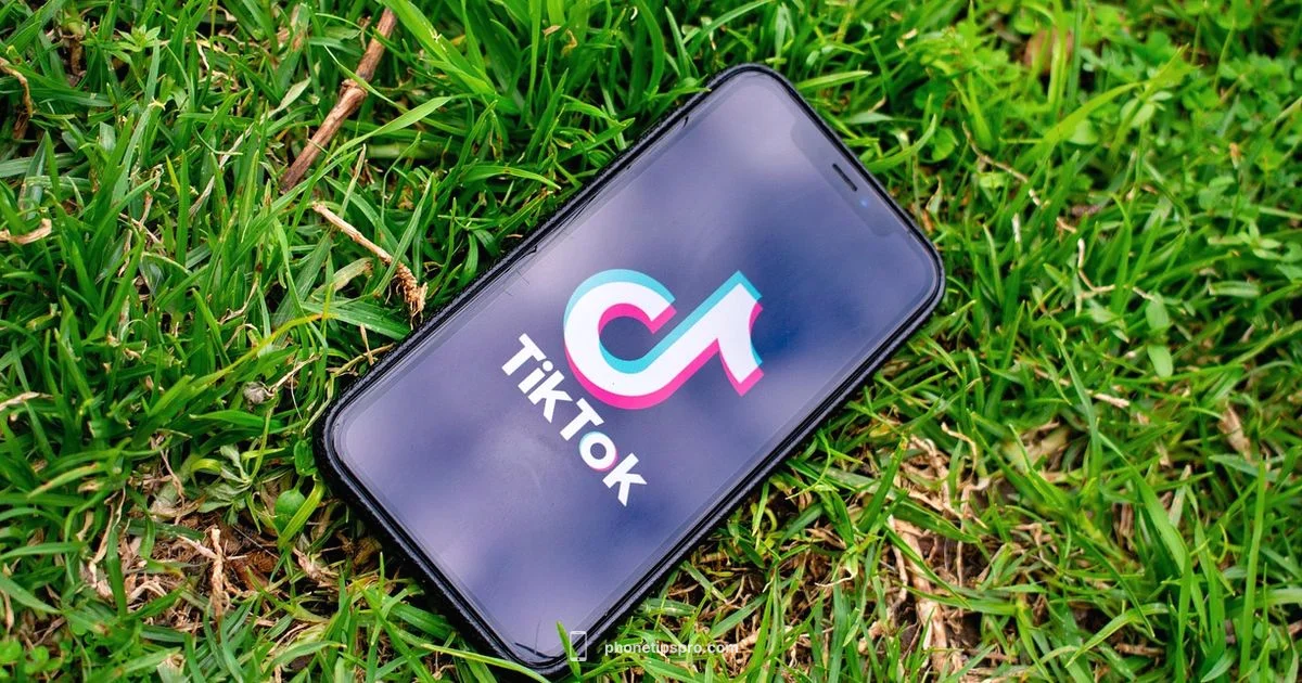 Save TikTok Videos on iPhone - Phone Tips Pro