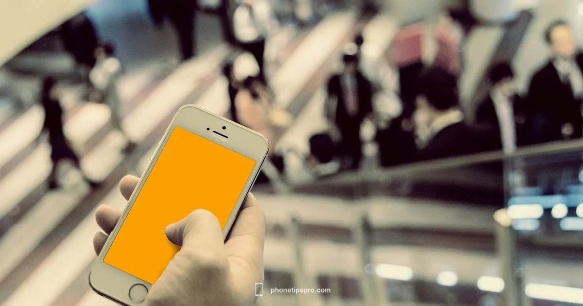 Email Password Reset Email Password Reset - Phone Tips Pro