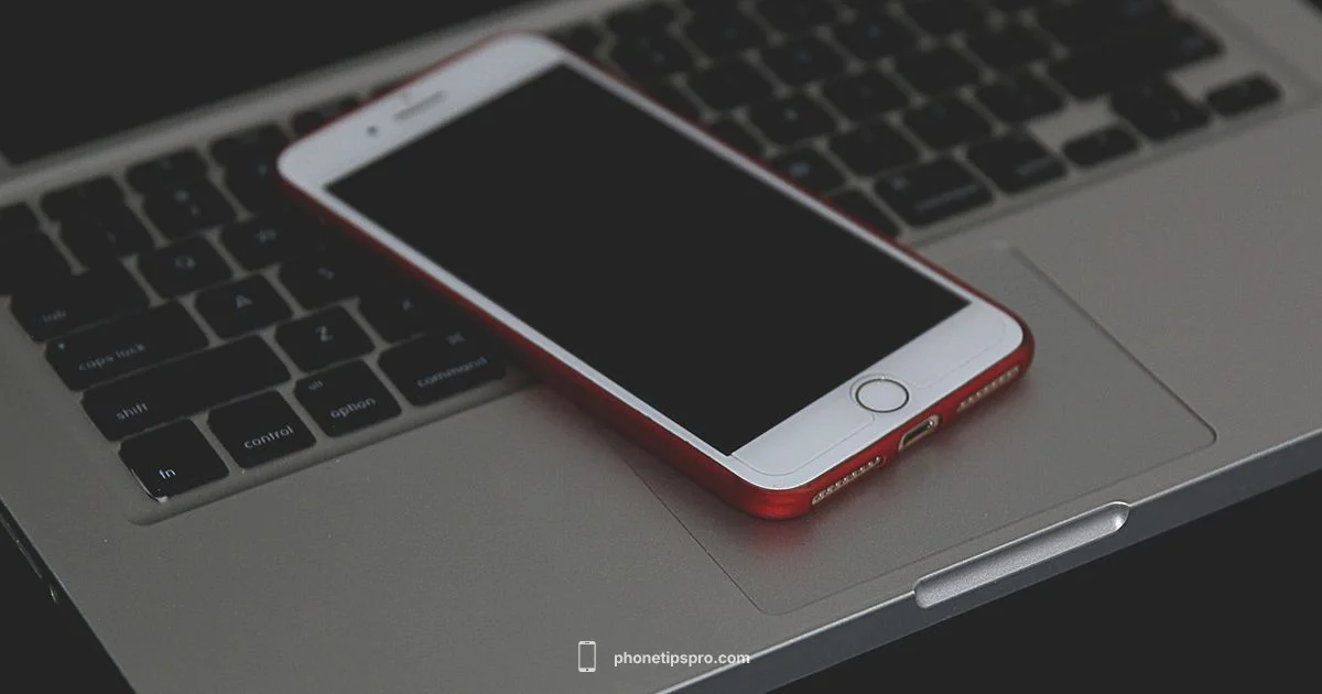 Current iPhone Lineup - Phone Tips Pro