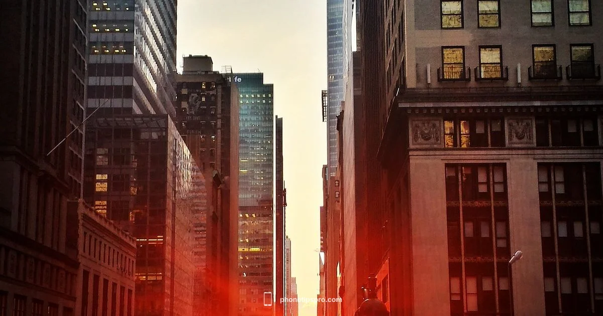 Best iPhone Camera Guide Best iPhone Camera Guide - Phone Tips Pro