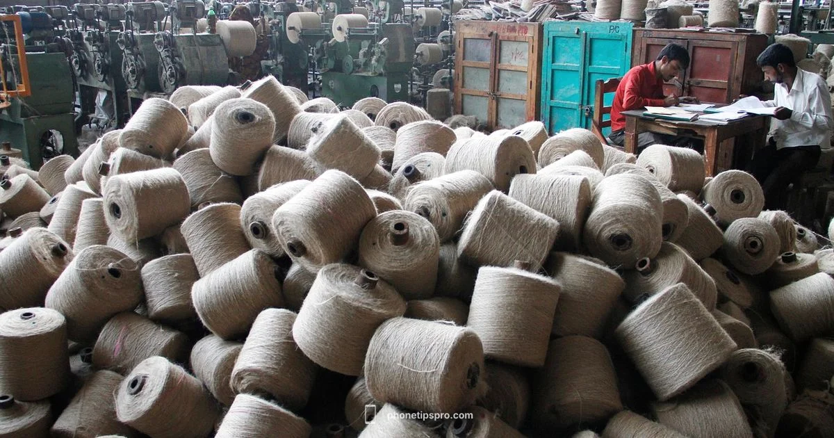 Origin Insights - Phone Tips Pro