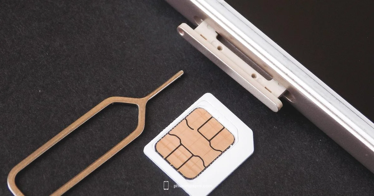 SIM Card Guide - Phone Tips Pro