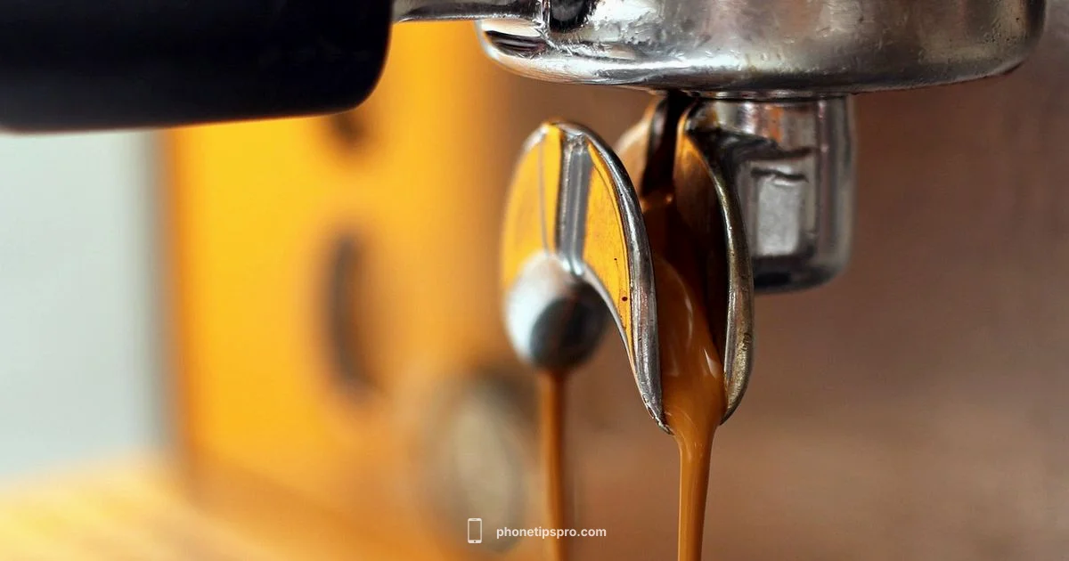 Best in iPhone 2026 - Phone Tips Pro