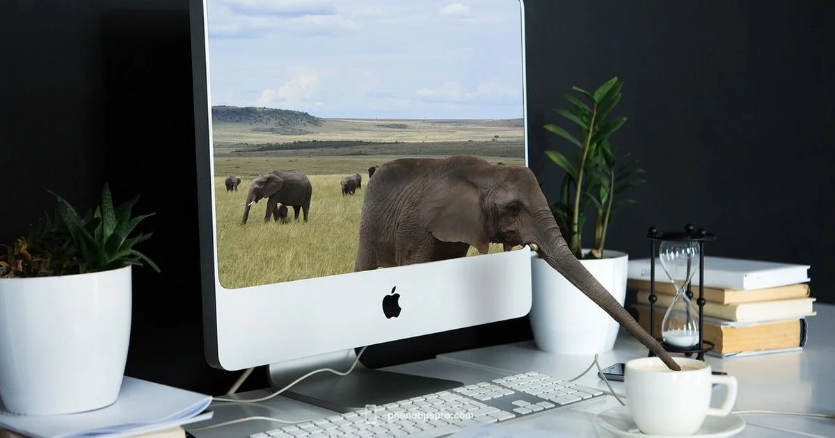 Locate iPhone on PC Locate iPhone on PC - Phone Tips Pro