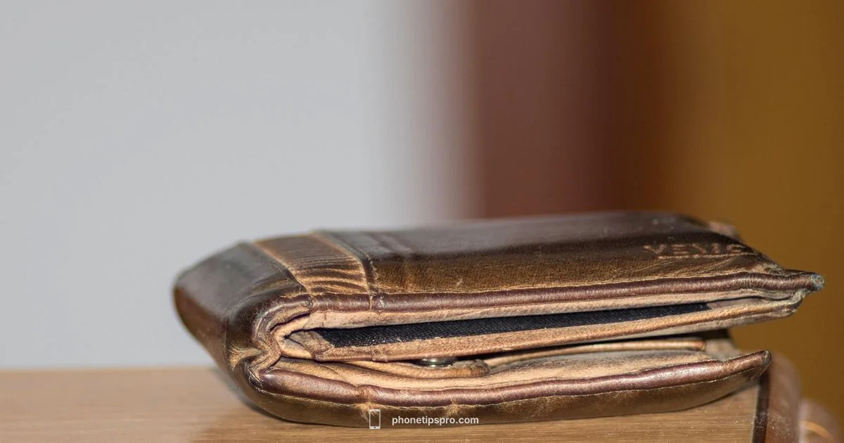 Apple Pay Guide - Phone Tips Pro