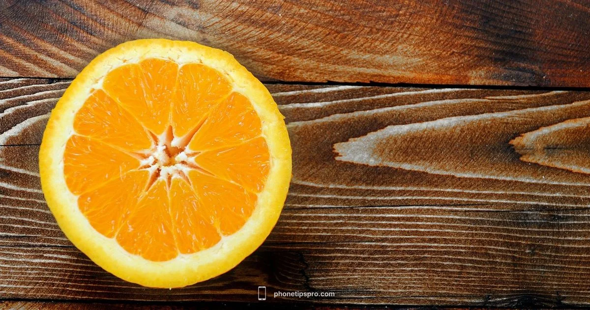 Dimensions overview - Phone Tips Pro