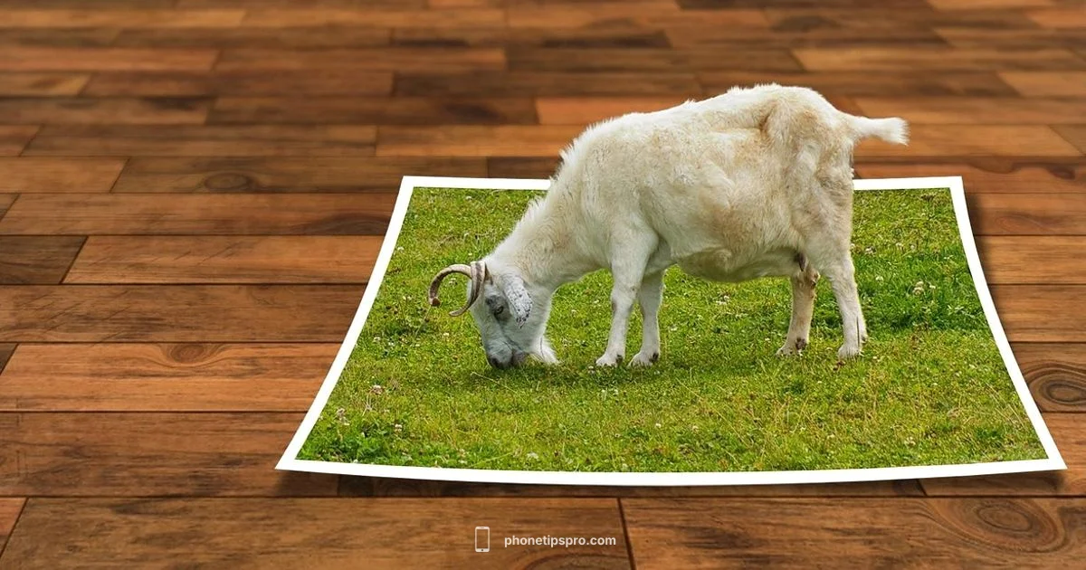 Top Pic Apps Top Pic Apps - Phone Tips Pro