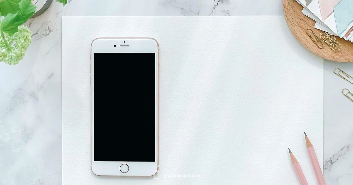 iPhone 13 mini Guide - Phone Tips Pro