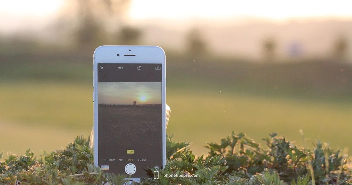 iPhone 16 Pricing iPhone 16 Pricing - Phone Tips Pro