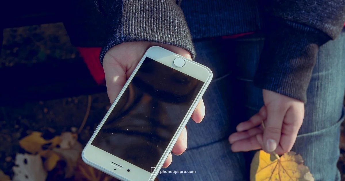 iPhone 6s Guide - Phone Tips Pro