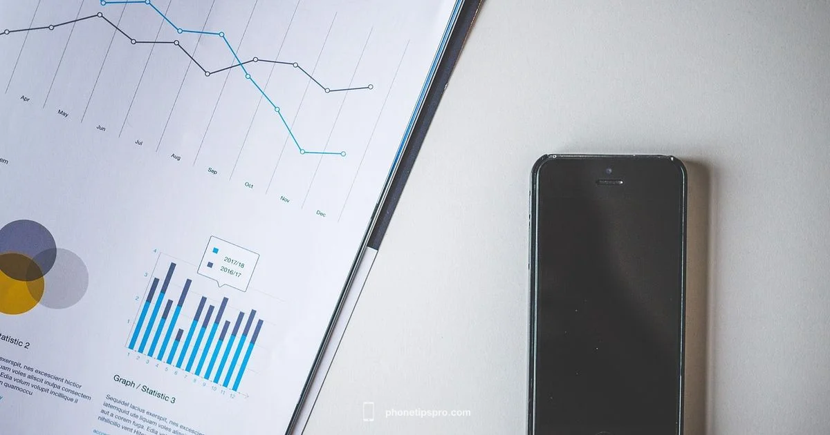 System Data Basics System Data Basics - Phone Tips Pro