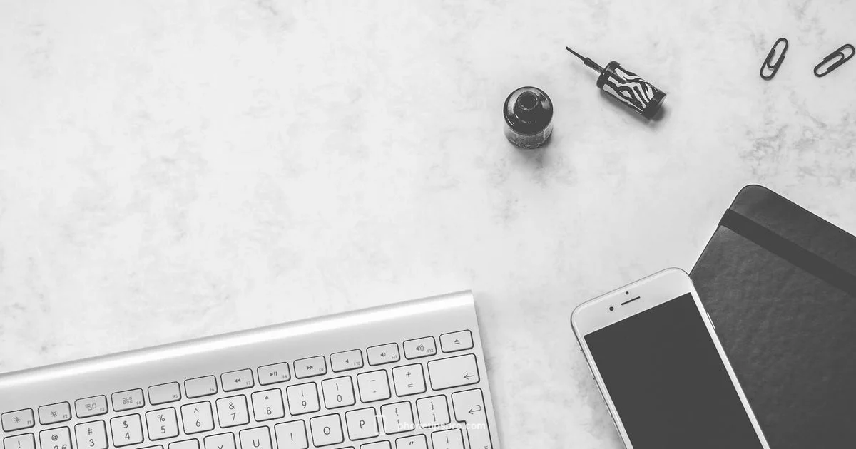 iPhone 12 Cases Guide - Phone Tips Pro