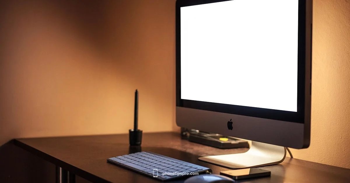 Order an iPhone Smartly - Phone Tips Pro