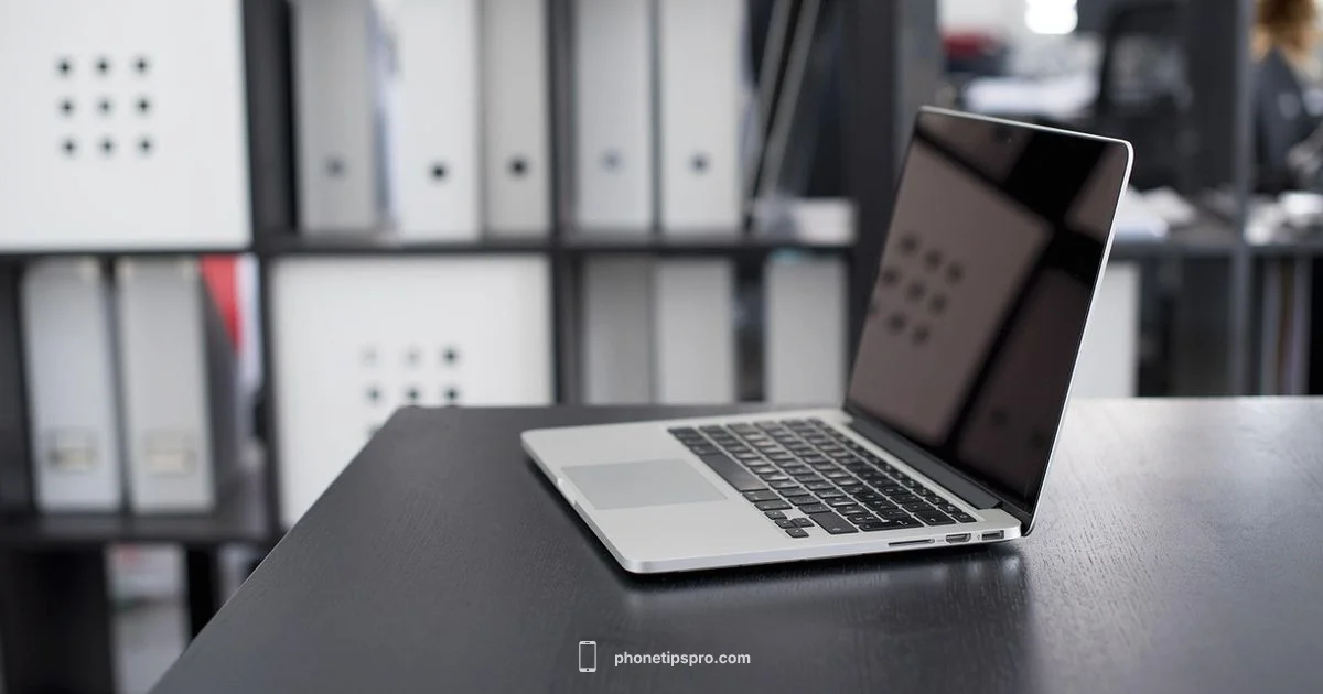 Size Comparison Size Comparison - Phone Tips Pro