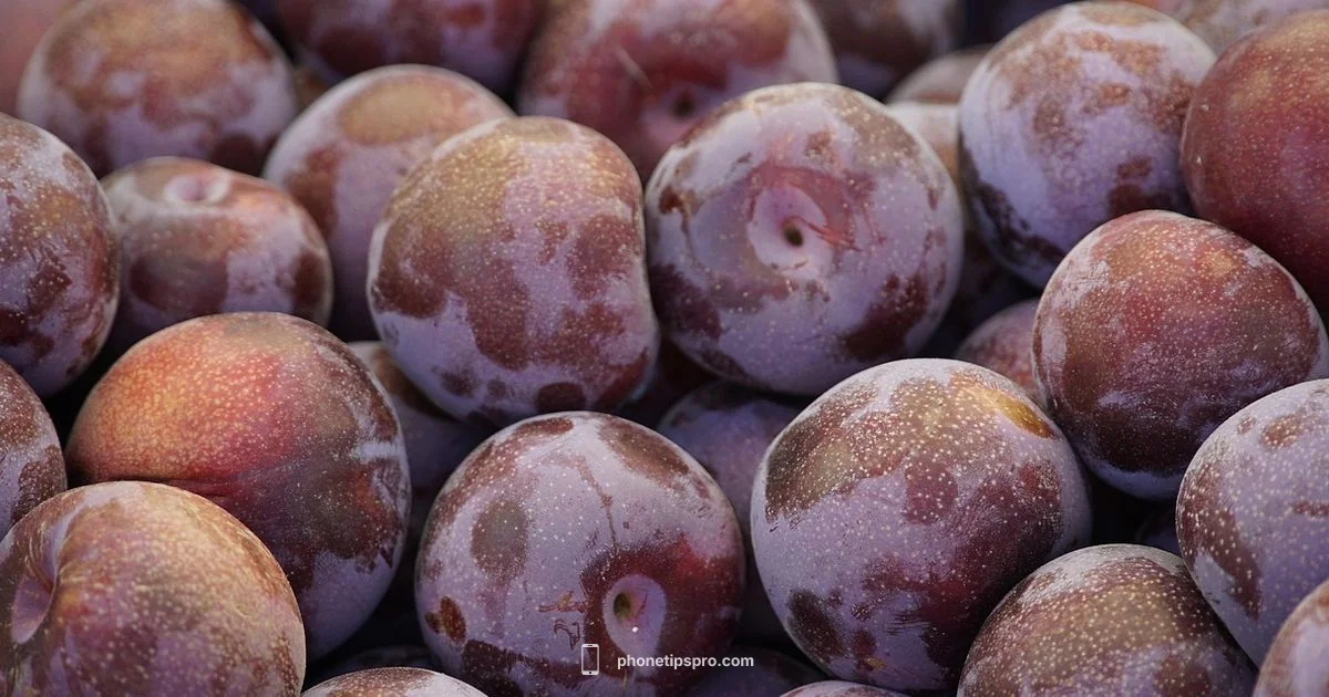 iPhone Materials - Phone Tips Pro