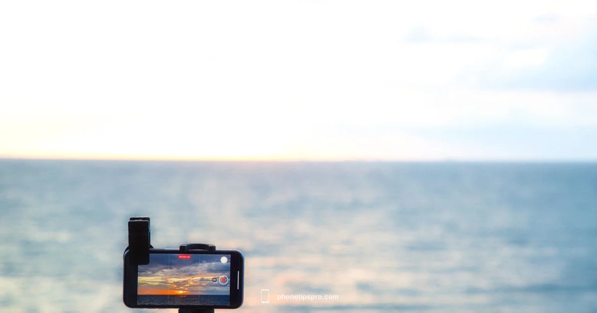 iPhone 11 Price Guide - Phone Tips Pro