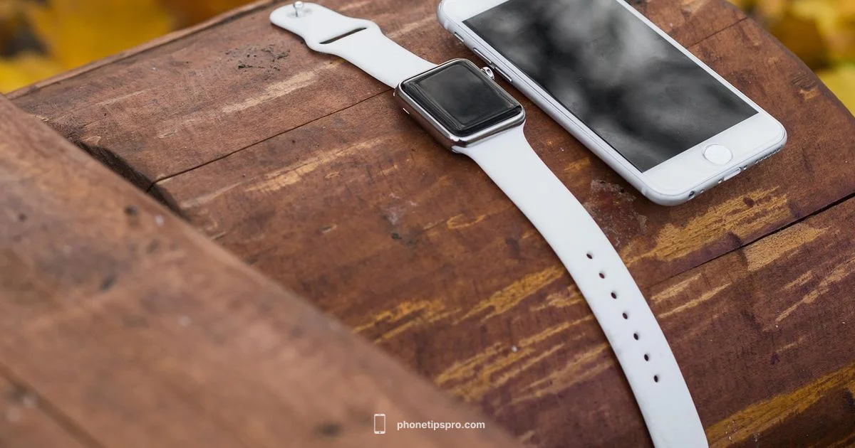 Best iPhones 2026 - Phone Tips Pro