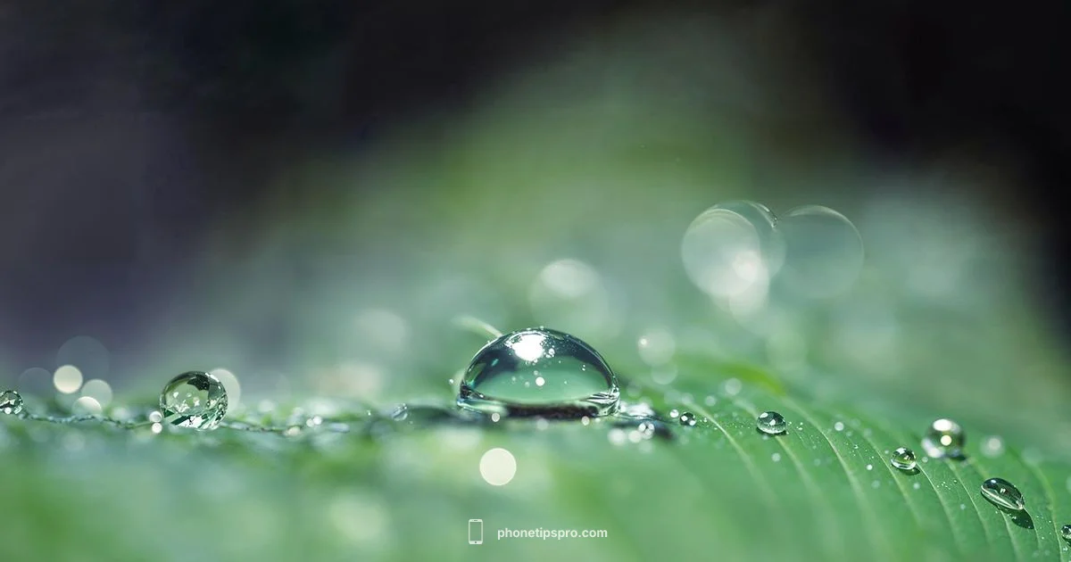 Compact iPhone Trends Compact iPhone Trends - Phone Tips Pro