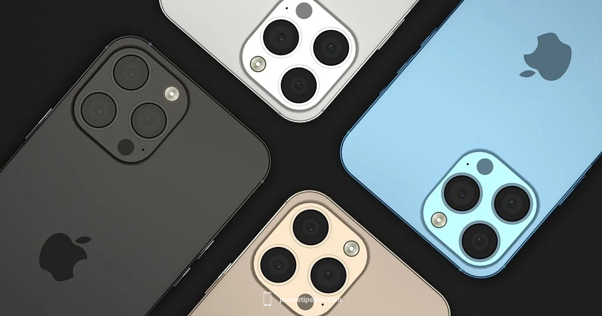 iPhone 14 Pro Max Size - Phone Tips Pro